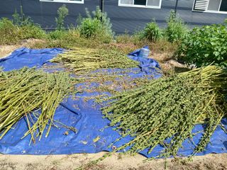 권태징님의 자유주제 · 자유게시판 작성글 사진