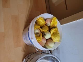 땅땅님의 자유주제 · 자유게시판 작성글 사진