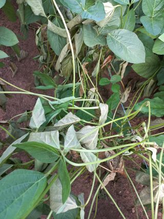 심무재 님의 자유주제 · 자유게시판 작성글 사진