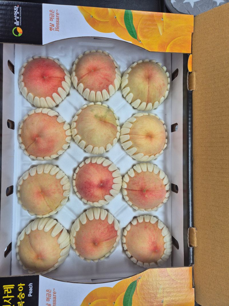 김현옥님의 장터 판매 상품 [음성 햇사레 복숭아 천중도 4kg 12과] 첨부 사진