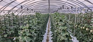 박춘서님의 자유주제 · 자유게시판 작성글 사진