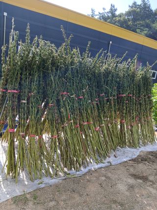 권태징님의 자유주제 · 자유게시판 작성글 사진