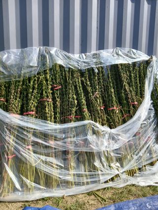 권태징님의 자유주제 · 자유게시판 작성글 사진