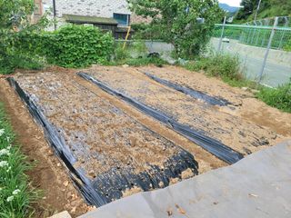 땅땅님의 자유주제 · 자유게시판 작성글 사진