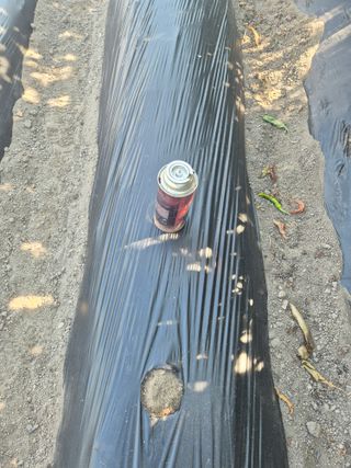 외동농장님의 자유주제 · 자유게시판 작성글 사진