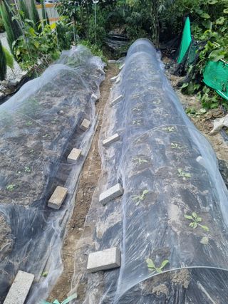 연산나무농장님의 자유주제 · 자유게시판 작성글 사진