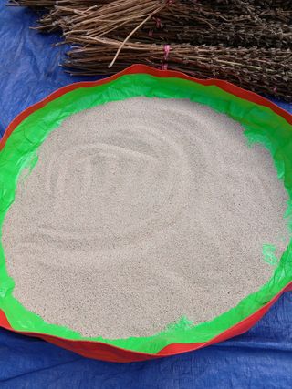 권태징님의 자유주제 · 자유게시판 작성글 사진