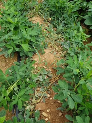 김건호님의 자유주제 · 자유게시판 작성글 사진