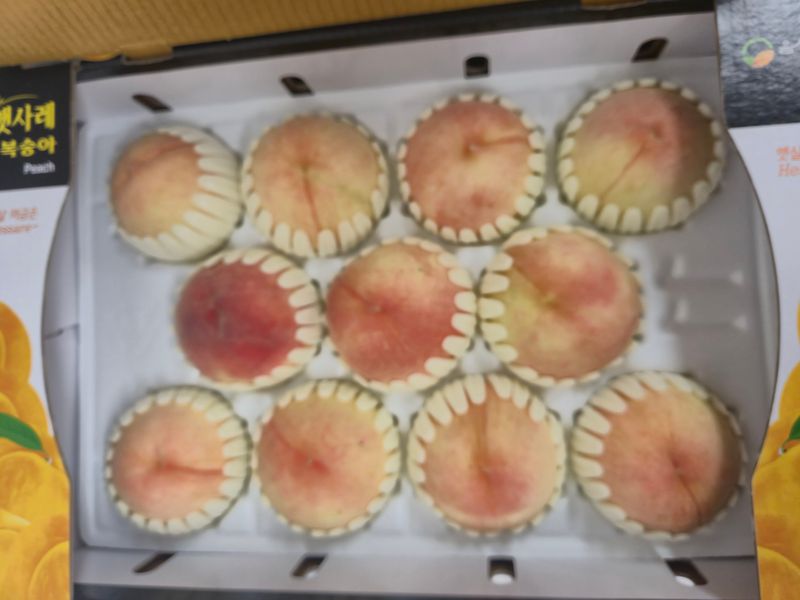 김현옥님의 장터 판매 상품 [음성 햇사레 복숭아 천중도 4kg 12과] 첨부 사진