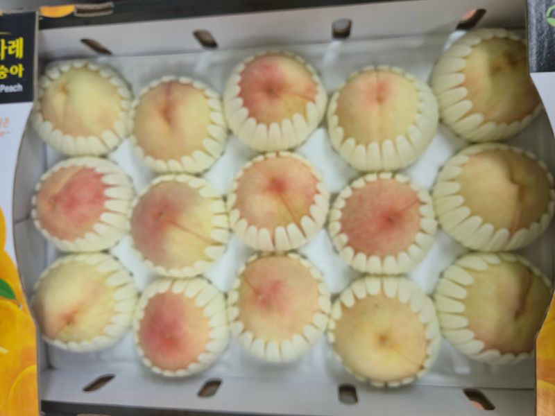 김현옥님의 장터 판매 상품 [음성 햇사레 복숭아 천중도 4kg 12과] 첨부 사진