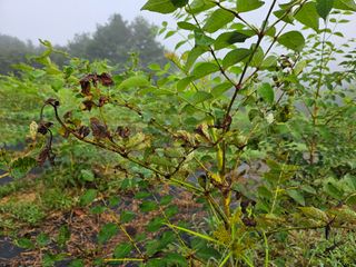 빛날욱님의 자유주제 · 자유게시판 작성글 사진