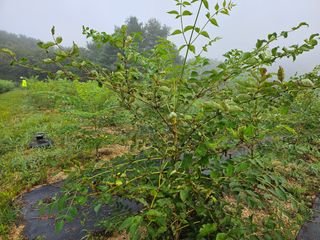 빛날욱님의 자유주제 · 자유게시판 작성글 사진