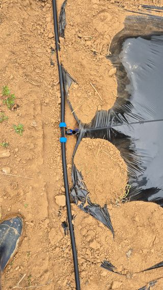 망치님의 자유주제 · 자유게시판 작성글 사진