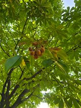 팜모닝 자유주제·자유게시판 게시글 이미지