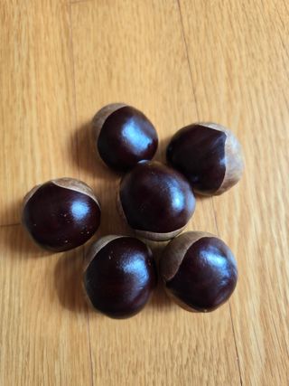 김성환님의 자유주제 · 자유게시판 작성글 사진