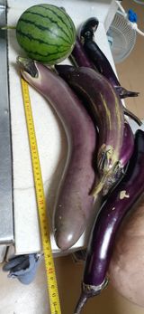 팜모닝 자유주제·자유게시판 게시글 이미지