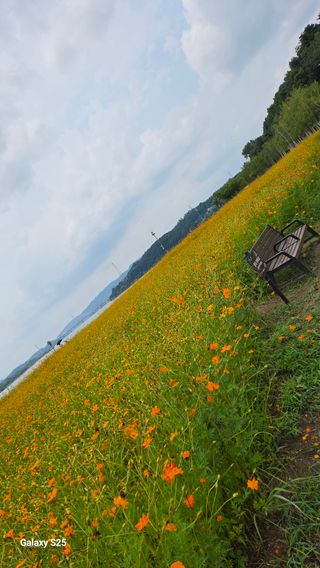 손병만님의 자유주제 · 자유게시판 작성글 사진