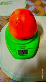 팜모닝 자유주제·자유게시판 게시글 이미지