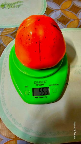 멋진인생님의 자유주제 · 자유게시판 작성글 사진