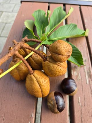 김성환님의 자유주제 · 자유게시판 작성글 사진