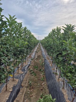 우리농원님의 자유주제 · 자유게시판 작성글 사진