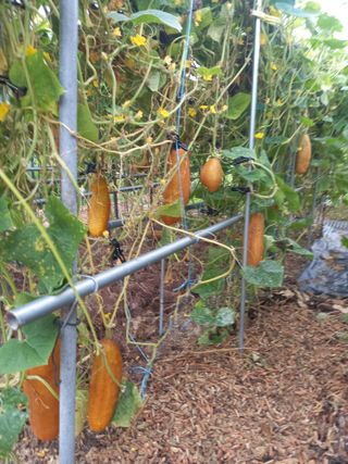 김낙교님의 작성글 사진