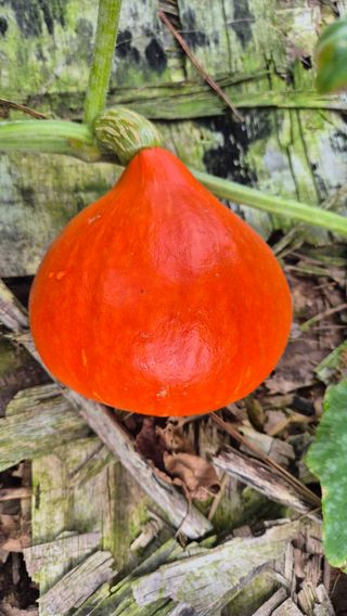 망치님의 자유주제 · 자유게시판 작성글 사진