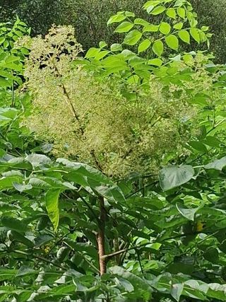 김석순 대암산아랫말님의 자유주제 · 자유게시판 작성글 사진