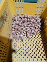 팜모닝 · 게시글 이미지