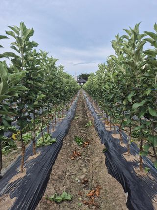 우리농원님의 자유주제 · 자유게시판 작성글 사진