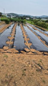 팜모닝 자유주제·자유게시판 게시글 이미지