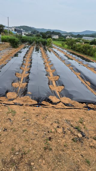 망치님의 자유주제 · 자유게시판 작성글 사진