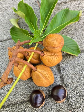 김성환님의 자유주제 · 자유게시판 작성글 사진