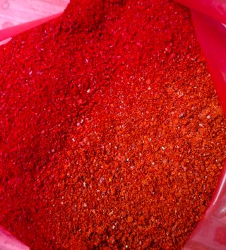 윤영숙소화데레사님의 작성글 사진