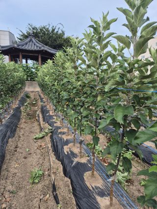 우리농원님의 자유주제 · 자유게시판 작성글 사진