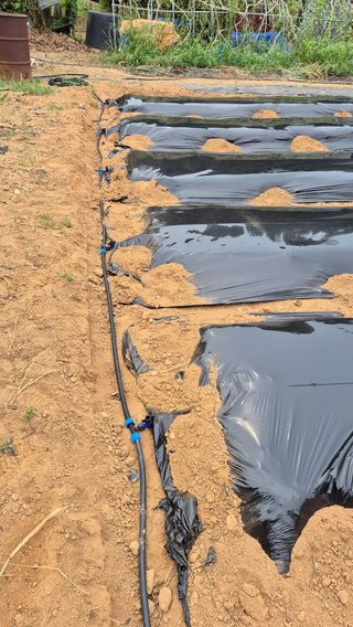 망치님의 자유주제 · 자유게시판 작성글 사진