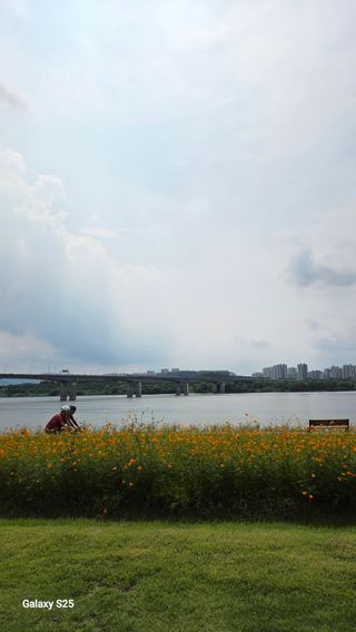 손병만님의 자유주제 · 자유게시판 작성글 사진