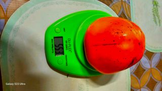 멋진인생님의 자유주제 · 자유게시판 작성글 사진