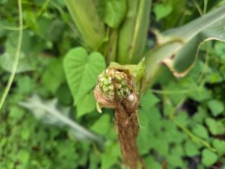 고성해솔농원님의 자유주제 · 자유게시판 작성글 사진