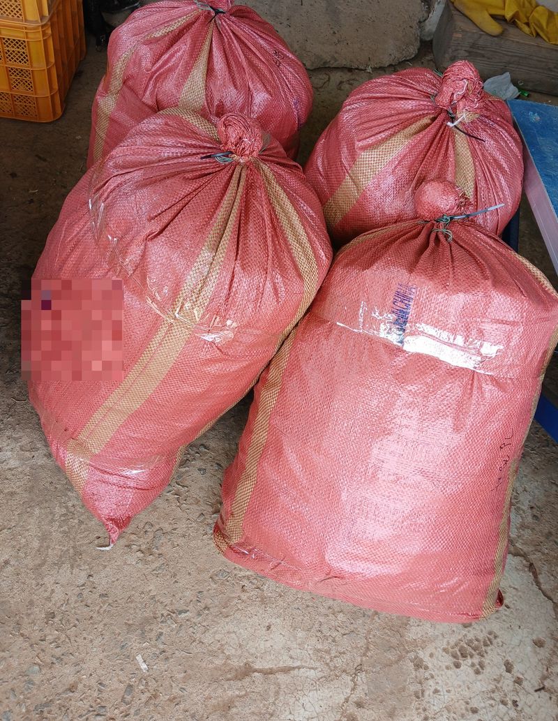 농부의딸램님의 장터 판매 상품 [(충남청양산, 반태양초,보통맛)] 첨부 사진