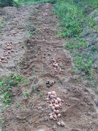 형남영님의 자유주제 · 자유게시판 작성글 사진