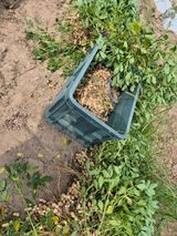 팜모닝 자유주제·자유게시판 게시글 이미지