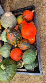 팜모닝 자유주제·자유게시판 게시글 이미지