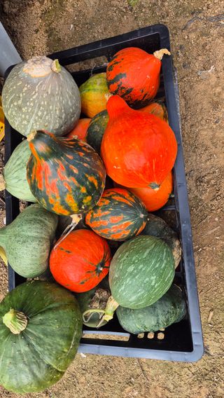 망치님의 자유주제 · 자유게시판 작성글 사진