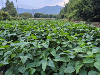 최용운님의 자유주제 · 자유게시판 작성글 사진