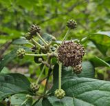 팜모닝 자유주제·사진전 게시글 이미지