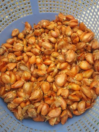 김옥자님의 작성글 사진