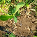 팜모닝 자유주제·자유게시판 게시글 이미지