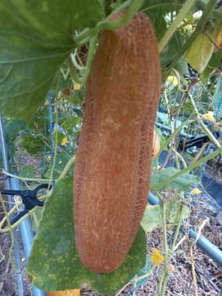 김낙교님의 작성글 사진