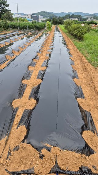 망치님의 자유주제 · 자유게시판 작성글 사진